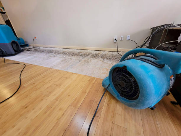 Professional Sewage Cleanup technician working in Addison, IL